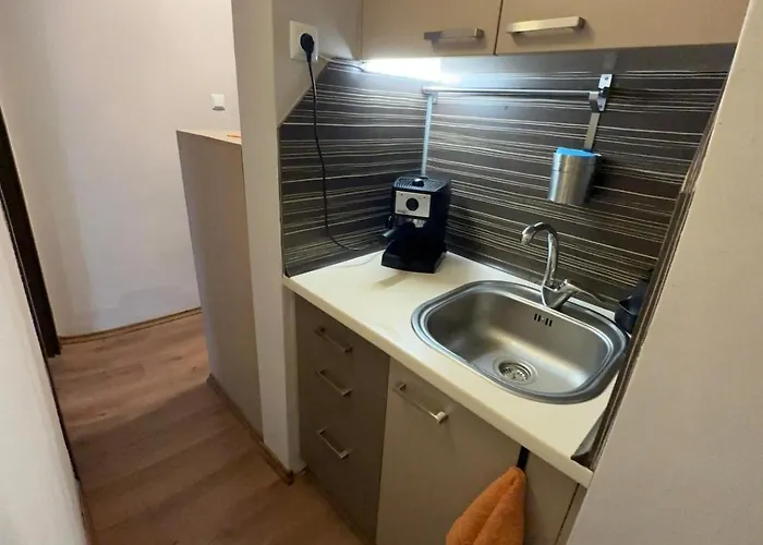 Center Maria ソフィア